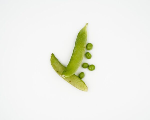Piselli - immagine 5