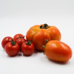 Pomodorini