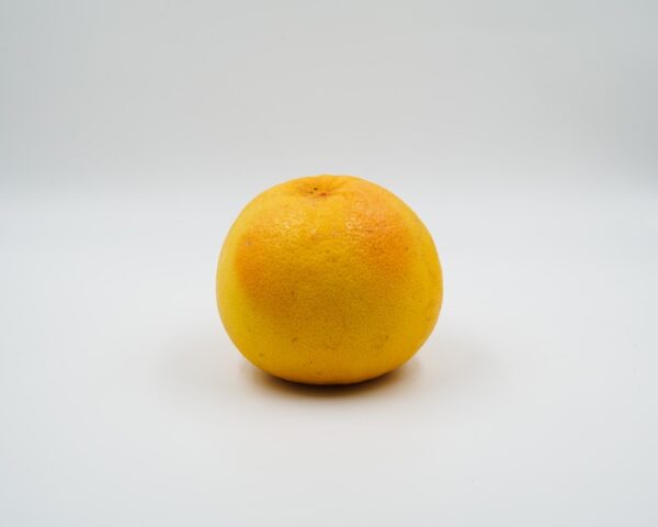 Pompelmo