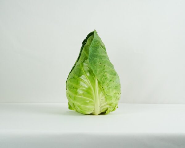 Insalata gentile - immagine 4