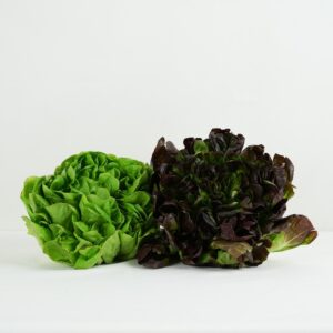 Insalata gentile