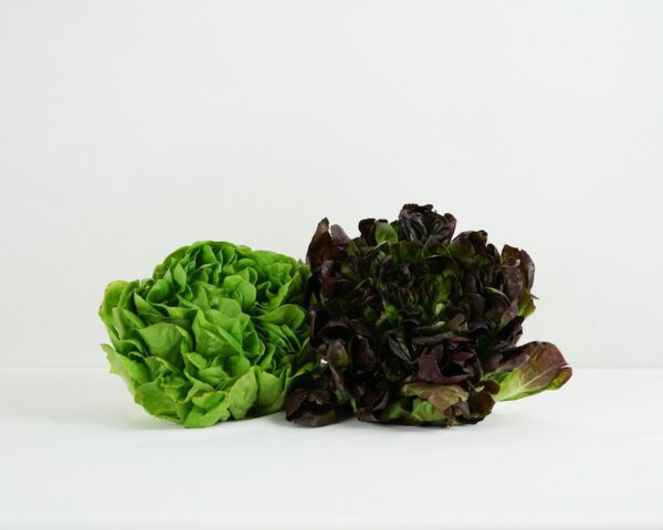 Insalata gentile