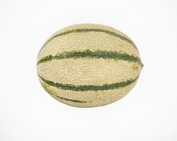 Meloni