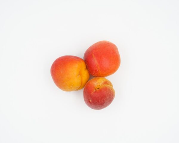 Pesche - immagine 2