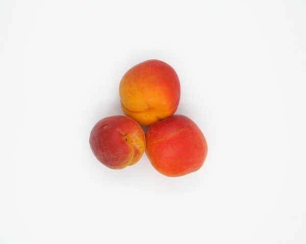 Pesche