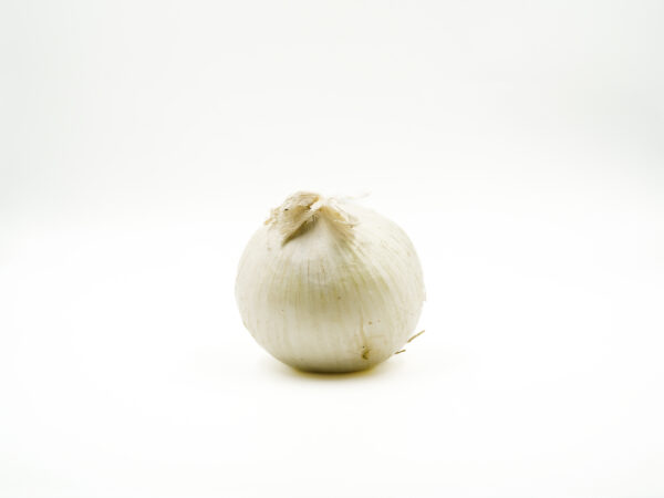 Cipolla bianca