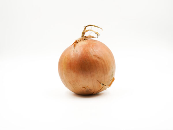 Cipolla dorata