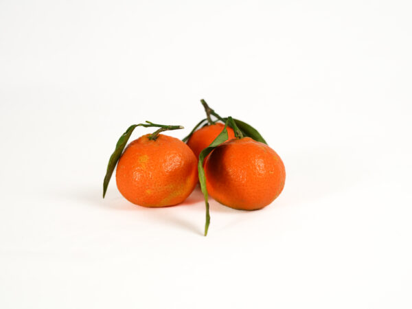 Clementine