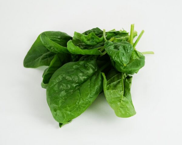 Erbe aromatiche miste