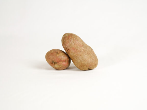 Patate rosse