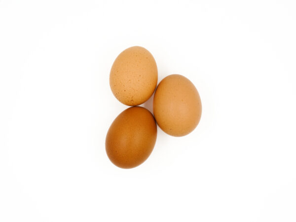 Uova del pollaio