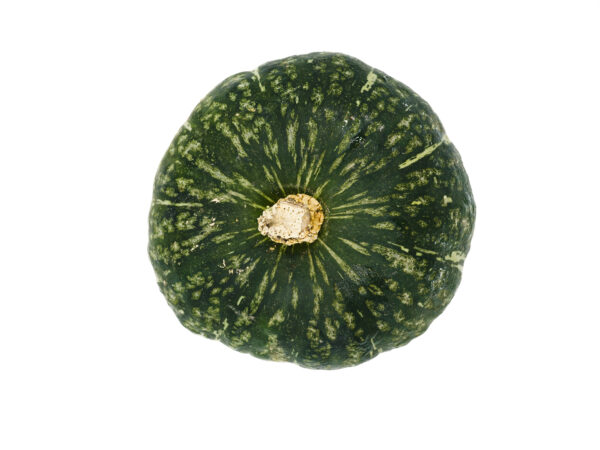 Zucca delicata - immagine 2