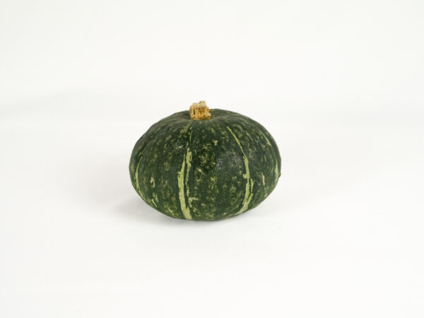 Zucca delicata
