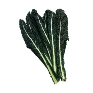 Cavolo nero