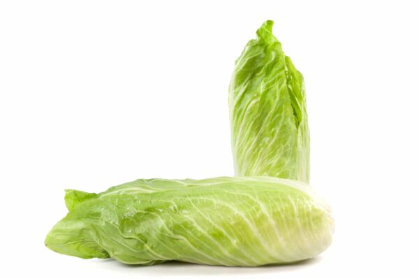 pan di zucchero