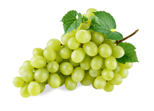 uva da tavola