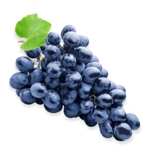 uva fragola